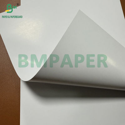 Carta di testo opaca digitale bianca liscia 100lb 23x35in fogli bianchi