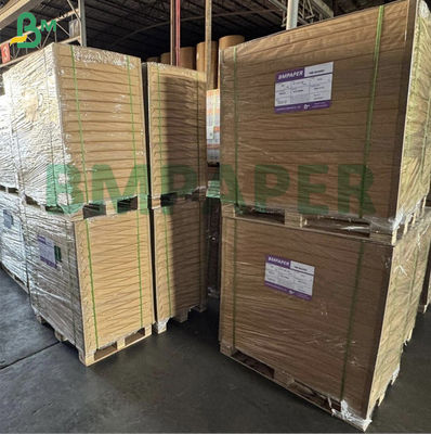 CB CFB CF Carta NCR multicolore senza carbonio 8.5"*11"
