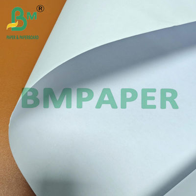80 grammi 24 pollici / 36 pollici di larghezza Woodfree CAD Inkjet Plotter Paper Roll