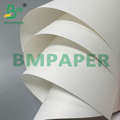 Carta sintetica PET doppiamente rivestita da 200 mm per biglietti da visita 70 * 100 cm