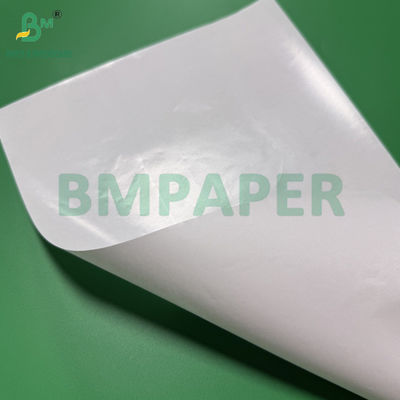 1 carta rivestita di PE laterale carta kraft bianca 40g + 10g dimensione 36 x 25 pollici
