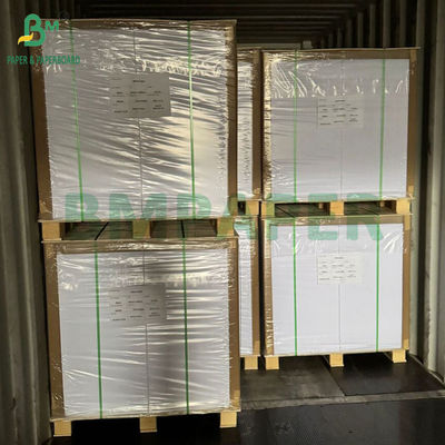 Carta senza carbonio preperforata CB CFB CF