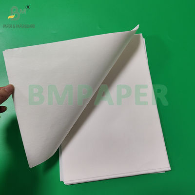 50 gm 328 mm Rollo di carta di residui di filtro per caffè di qualità alimentare bianco e marrone