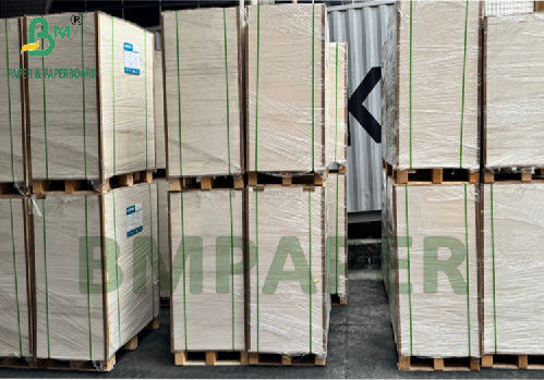 300g 350g 900mm 1000mm Carta SBS rivestita per alimenti
