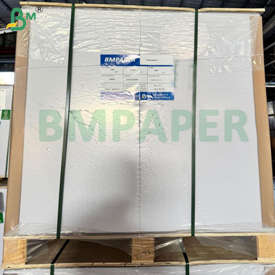 BMPAPER Carta per tazze per gelati Tazze con rivestimento in PE 1 lato