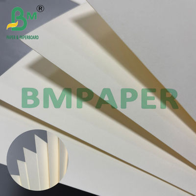200 g White Cup Bowl Stock Paper Food Grade Sigle Side PE Coated Board