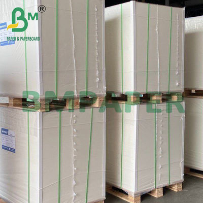 200 g White Cup Bowl Stock Paper Food Grade Sigle Side PE Coated Board