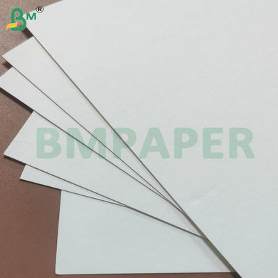 Fogli di carta assorbente acqua di colore cremoso non rivestiti per sottopiastre