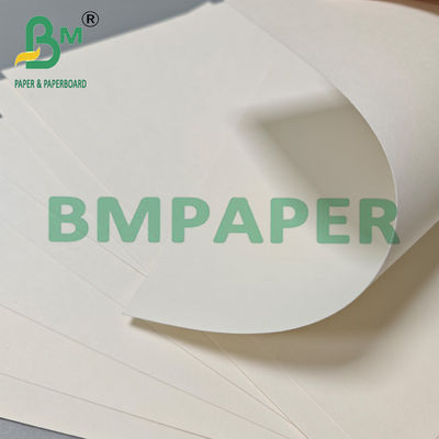210 gm 230 gm Biodegradabile Caldo Tazza di Caffè Tè Carta Materia prima