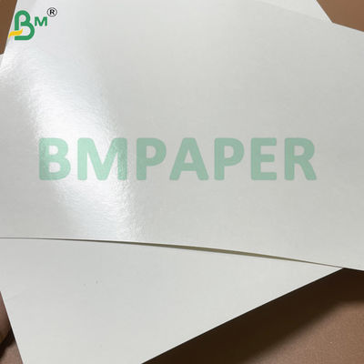 210g + 15g Single PE Coated Cup Stock Paper con 100% di pasta di legno vergine