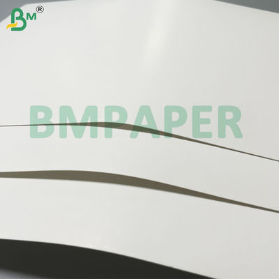 210g + 15g Single PE Coated Cup Stock Paper con 100% di pasta di legno vergine