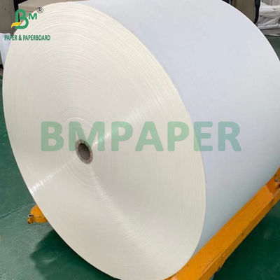 240 gm + 18 g PE rivestito di carta per coppe per materassi da vassoio resistente all'acqua 650 mm