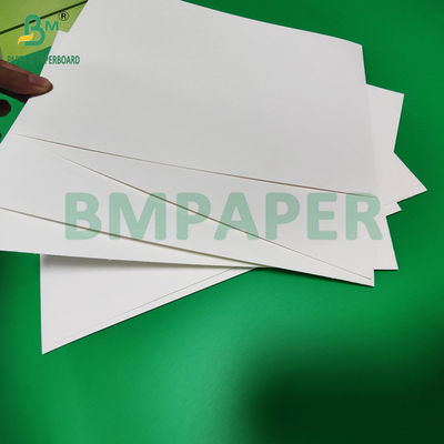 240 gm + 18 g PE rivestito di carta per coppe per materassi da vassoio resistente all'acqua 650 mm