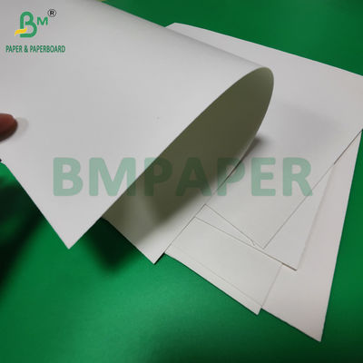 240 gm + 18 g PE rivestito di carta per coppe per materassi da vassoio resistente all'acqua 650 mm