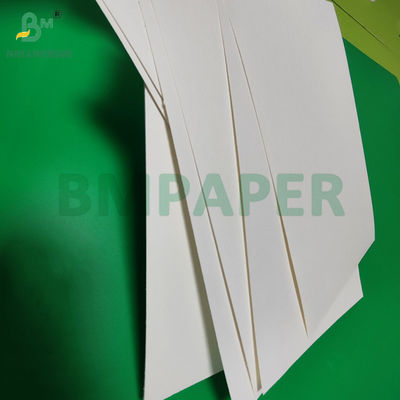 240 gm + 18 g PE rivestito di carta per coppe per materassi da vassoio resistente all'acqua 650 mm