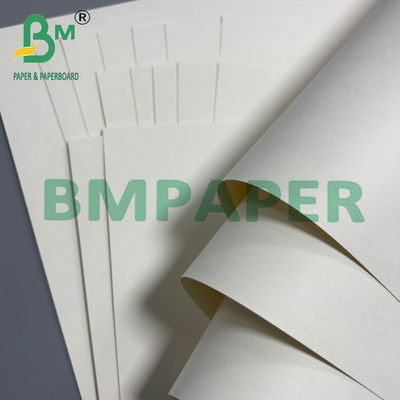 250 g + 20 g di carta a base di tazza a lato singolo con rivestimento in PE 70 * 100 cm