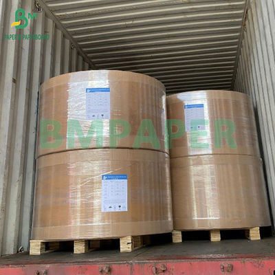 30-100gm 100% Polpa di legno sbiancata Filtri per caffè usa e getta