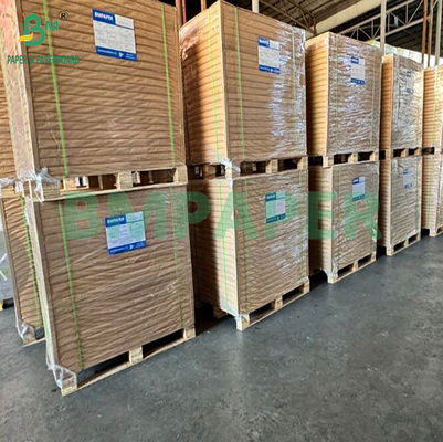 300gm da un lato Bianco Marrone Dentro Disposable Bake Kraft Pan Pan Board 0,45mm