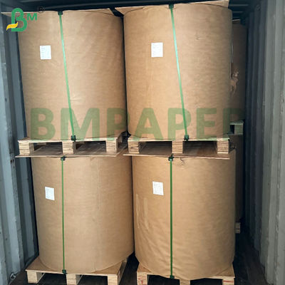 55g 80g 400mm 405mm 565mm Rulli di carta termica bianca per bancomat di lotteria Etichette e documenti