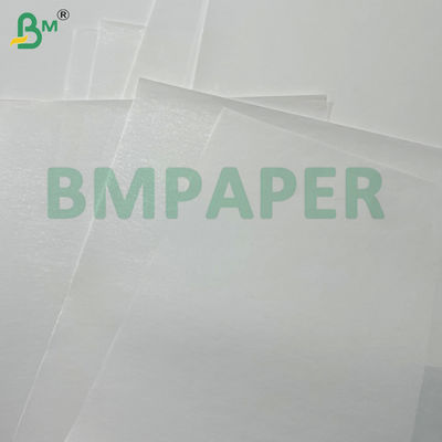 55g 80g 400mm 405mm 565mm Rulli di carta termica bianca per bancomat di lotteria Etichette e documenti