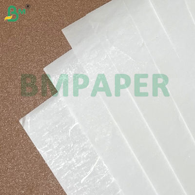 55g 80g 400mm 405mm 565mm Rulli di carta termica bianca per bancomat di lotteria Etichette e documenti