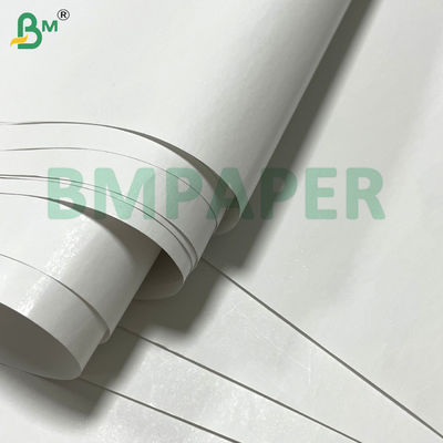 55g 80g 400mm 405mm 565mm Rulli di carta termica bianca per bancomat di lotteria Etichette e documenti