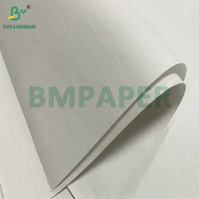 Carta di ricevuta termica di alta bianchezza 48 g/m 55 g/m Jumbo Roll