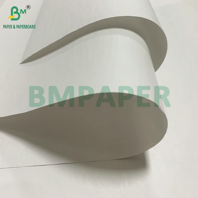 Carta di ricevuta termica di alta bianchezza 48 g/m 55 g/m Jumbo Roll