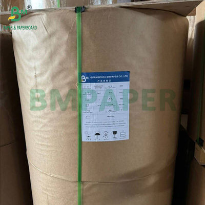 48 g 55 g carta termica libera da BPA Jumbo Rolls per ricevute di cassiere Premium POS