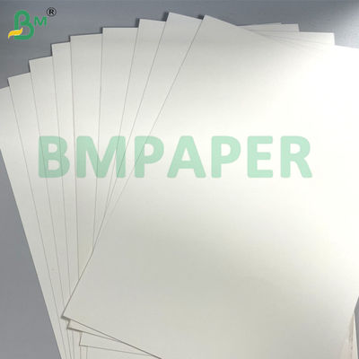 Single / Double Sides PE Coated Cup Stock Paper Board 250g + 15gm per ciotole e tazze