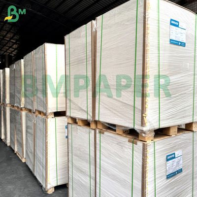 Single / Double Sides PE Coated Cup Stock Paper Board 250g + 15gm per ciotole e tazze