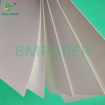 210gm 230gm 15g PE rivestimento opaco carta bianca per tazze per caffè
