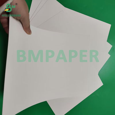 210gm 230gm 15g PE rivestimento opaco carta bianca per tazze per caffè