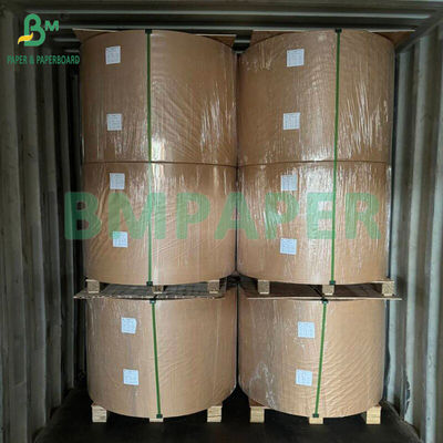 210gm 230gm 15g PE rivestimento opaco carta bianca per tazze per caffè