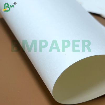 Carta da tavola per cibi di grado alimentare 700 mm x 1000 mm 200 g + 20 g PE rivestito