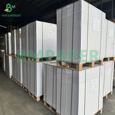 350GSM Doppio lato rivestito di carta Bristol Board Inkjet Printing 720*510mm