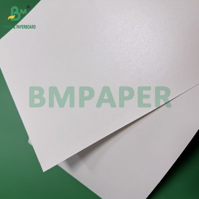 260g 280g + 10g Biodegradabile carta rivestita acquosa senza plastica per tazze e ciotole
