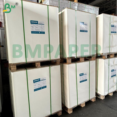 180 gm 200 gm Acqueo Plastic Paper Free Cupstock Paper Resistente al calore 120°C Per Coppe di carta Contenitori da asporto