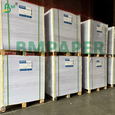 Cartone OBA libero di dimensioni rigide per cartoni di alimenti surgelati con rivestimento PE