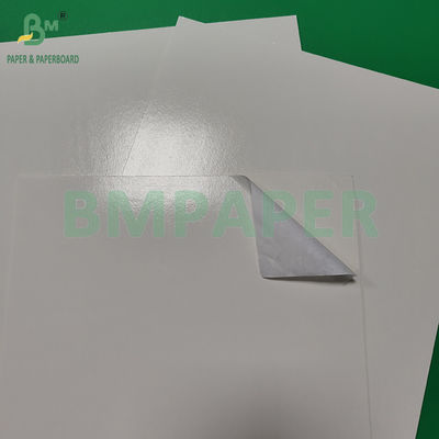 300+15 gm Prodotti congelati in cartone bianco per uso alimentare
