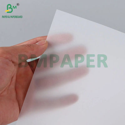 50 g - 180 g Carta bianca traslucida per disegni 70 x 100 cm