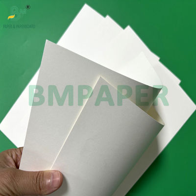 240g +15PE rivestito 1 lato carta Cupstock per bicchieri da bere 31 x 43 pollici impermeabile 100%