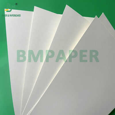 240g +15PE rivestito 1 lato carta Cupstock per bicchieri da bere 31 x 43 pollici impermeabile 100%