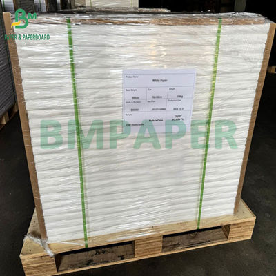 Fogli di carta rivestiti a getto d'inchiostro a doppio lato e lucidi A3 A4 120g-300g