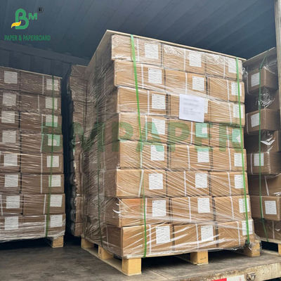 Fogli di carta rivestiti a getto d'inchiostro a doppio lato e lucidi A3 A4 120g-300g