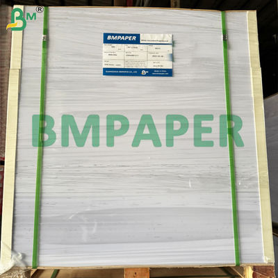 Rivestimento in PET Contenitore sicuro per alimenti Carta resistente alla temperatura per riscaldare gli alimenti