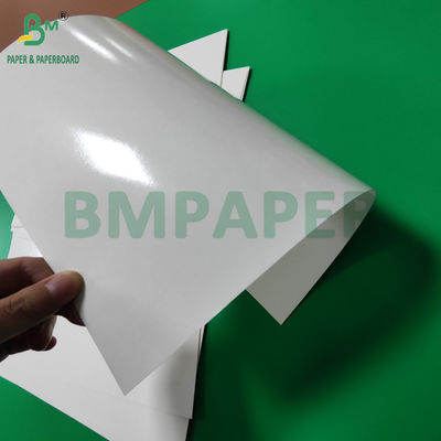 300 g di carta laminata in PET di qualità alimentare, rivestimento in vassoio, rotoli di carta di 635 mm ad alta temperatura