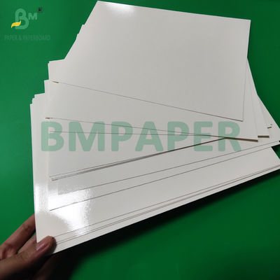 300 g di carta laminata in PET di qualità alimentare, rivestimento in vassoio, rotoli di carta di 635 mm ad alta temperatura