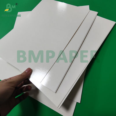 300 g di carta laminata in PET di qualità alimentare, rivestimento in vassoio, rotoli di carta di 635 mm ad alta temperatura