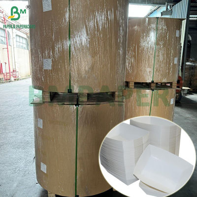 300 g di carta laminata in PET di qualità alimentare, rivestimento in vassoio, rotoli di carta di 635 mm ad alta temperatura